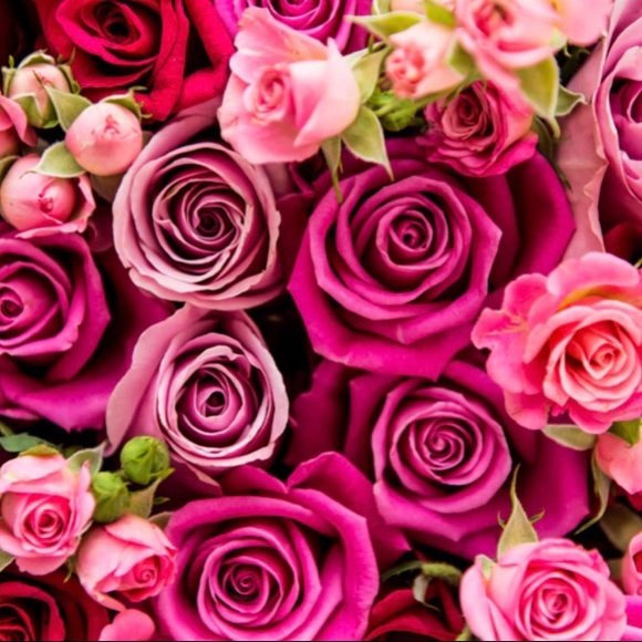 Meet your Posher, Krittiya - Picture 2 of 2